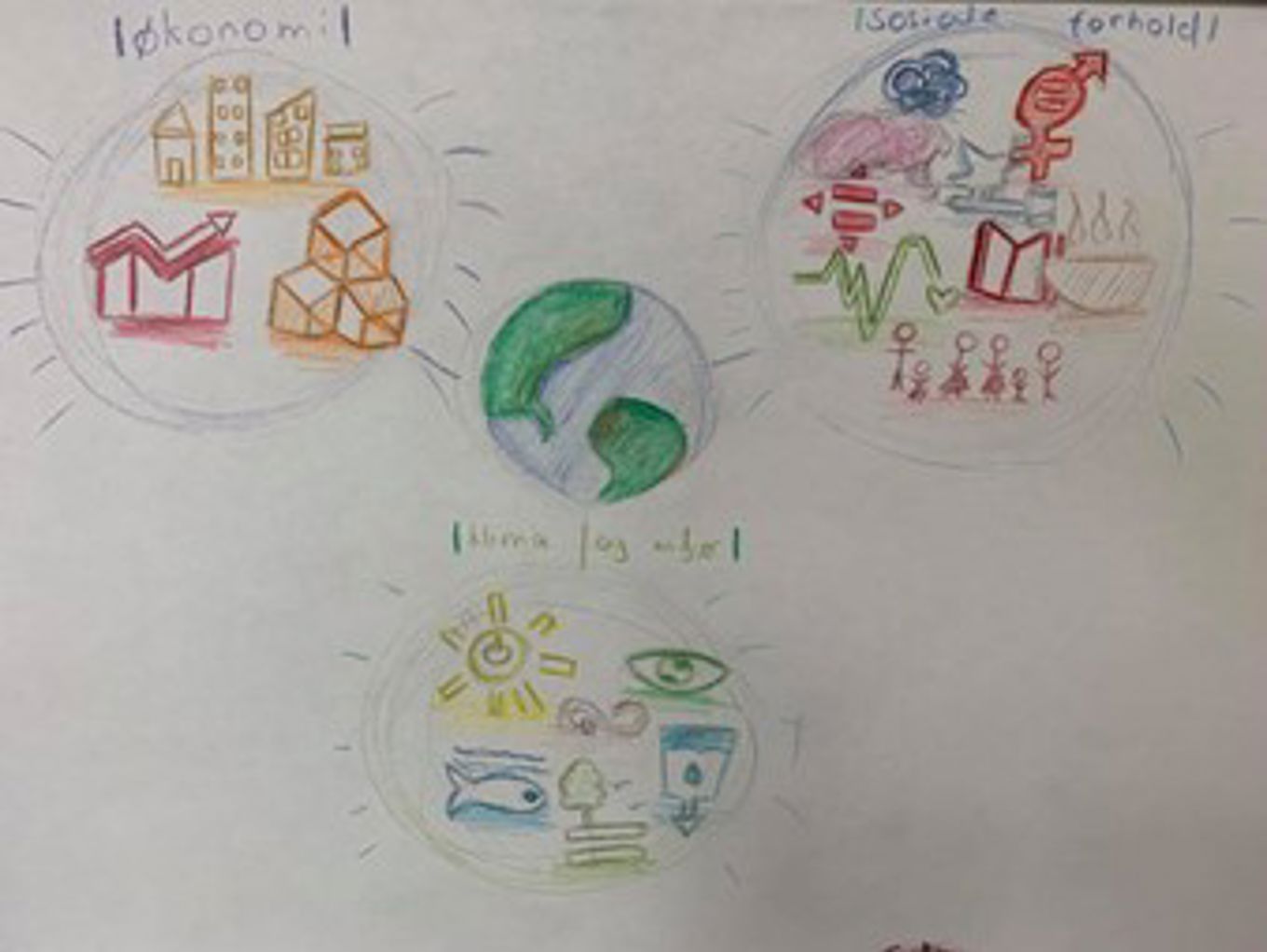 Elevene på 6. trinn arbeider med bærekraftig utvikling