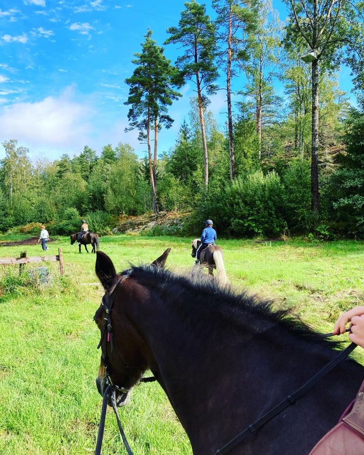 Ridning på Oksnøen