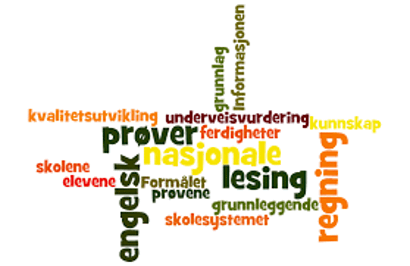 Nasjonale prøver 2020 Nasjonale prøver 2020